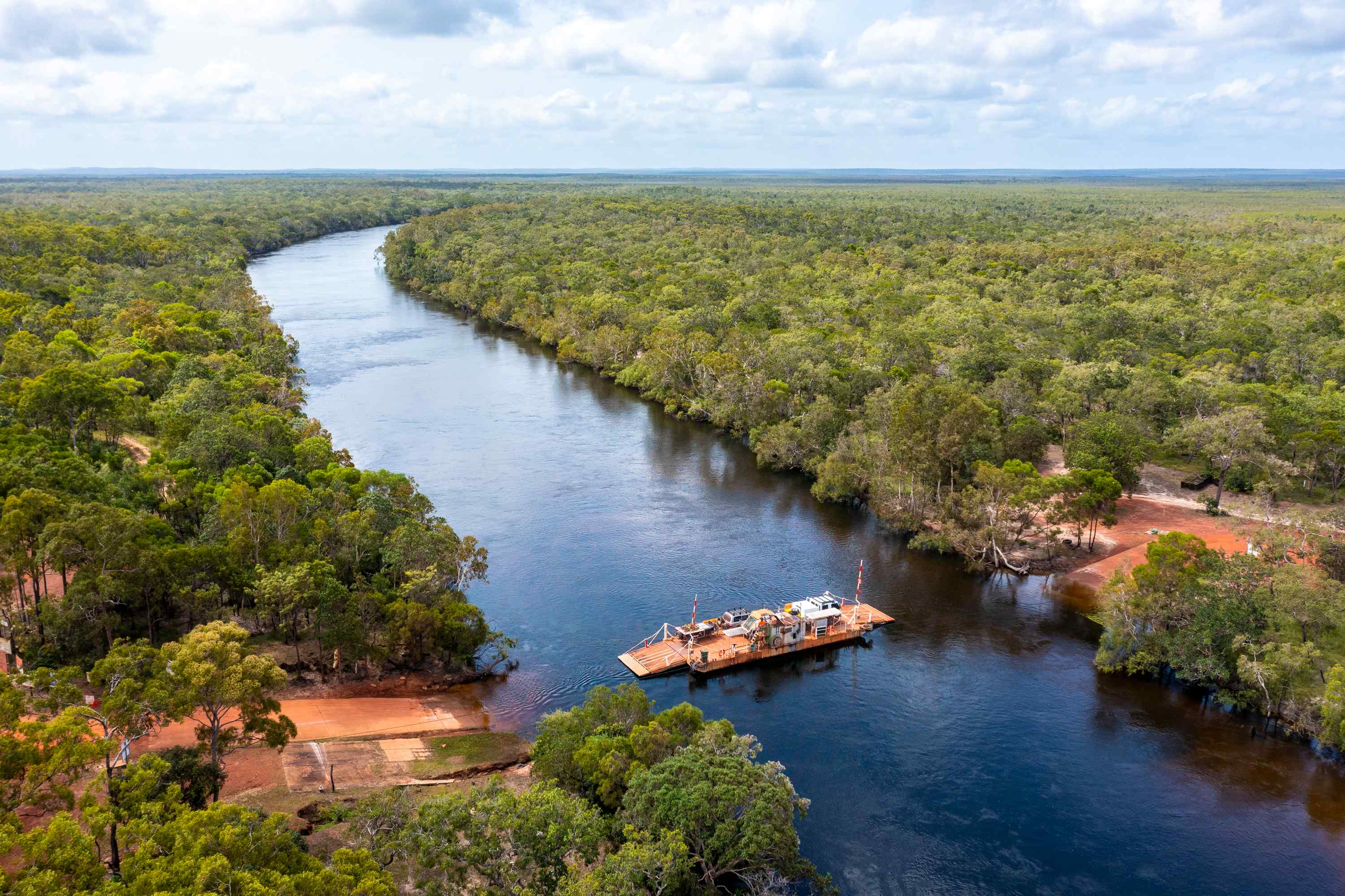 Unique Daintree Forest tours! Best Daintree experience.